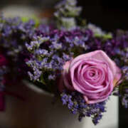 ヒメ日記 2026/02/12 21:40 投稿 若草藍子(わかくさあいこ) 五十路マダムエクスプレス厚木店(カサブランカグループ)