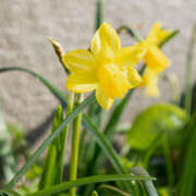 ヒメ日記 2026/03/22 19:58 投稿 若草藍子(わかくさあいこ) 五十路マダムエクスプレス厚木店(カサブランカグループ)