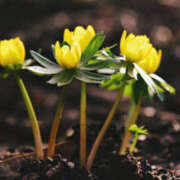 ヒメ日記 2026/03/28 18:40 投稿 若草藍子(わかくさあいこ) 五十路マダムエクスプレス厚木店(カサブランカグループ)