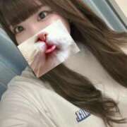 ヒメ日記 2025/02/20 12:31 投稿 なごみ チューリップ熊本店