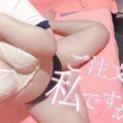 ヒメ日記 2025/04/29 11:41 投稿 なごみ チューリップ熊本店