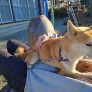 ヒメ日記 2025/02/09 08:27 投稿 かおん モアグループ熊谷人妻花壇