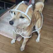 ヒメ日記 2025/03/03 09:27 投稿 かおん モアグループ熊谷人妻花壇