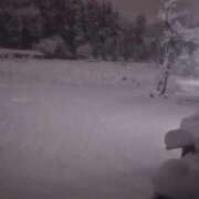 ヒメ日記 2025/03/05 04:12 投稿 かおん モアグループ熊谷人妻花壇