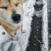 ヒメ日記 2025/03/05 07:33 投稿 かおん モアグループ熊谷人妻花壇