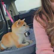 ヒメ日記 2025/03/10 20:57 投稿 かおん モアグループ熊谷人妻花壇