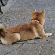 ヒメ日記 2025/03/14 09:03 投稿 かおん モアグループ熊谷人妻花壇