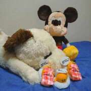 ヒメ日記 2025/03/25 21:06 投稿 かおん モアグループ熊谷人妻花壇