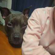 ヒメ日記 2025/04/05 05:21 投稿 かおん モアグループ熊谷人妻花壇