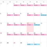 ヒメ日記 2025/04/17 20:03 投稿 かおん モアグループ熊谷人妻花壇