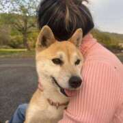 ヒメ日記 2025/04/27 20:01 投稿 かおん モアグループ熊谷人妻花壇