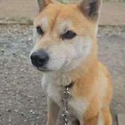 ヒメ日記 2025/05/15 18:31 投稿 かおん モアグループ熊谷人妻花壇