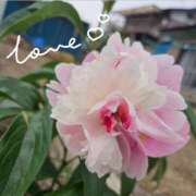 ヒメ日記 2025/05/31 07:01 投稿 かおん モアグループ熊谷人妻花壇