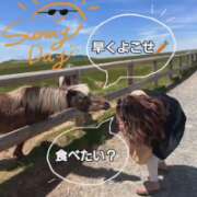 ヒメ日記 2025/06/22 20:01 投稿 かおん モアグループ熊谷人妻花壇