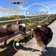 ヒメ日記 2025/07/30 07:28 投稿 かおん モアグループ熊谷人妻花壇