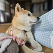 ヒメ日記 2025/08/19 16:58 投稿 かおん モアグループ熊谷人妻花壇