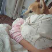 ヒメ日記 2025/10/13 08:01 投稿 かおん モアグループ熊谷人妻花壇