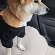 ヒメ日記 2025/10/28 10:27 投稿 かおん モアグループ熊谷人妻花壇