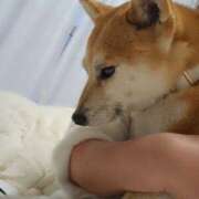 ヒメ日記 2025/11/26 20:46 投稿 かおん モアグループ熊谷人妻花壇