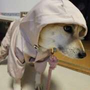 ヒメ日記 2026/03/03 16:31 投稿 かおん モアグループ熊谷人妻花壇