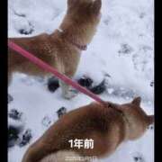 ヒメ日記 2026/03/05 20:01 投稿 かおん モアグループ熊谷人妻花壇