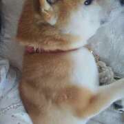 ヒメ日記 2026/03/06 14:45 投稿 かおん モアグループ熊谷人妻花壇