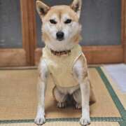 ヒメ日記 2026/03/12 18:01 投稿 かおん モアグループ熊谷人妻花壇