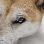 ヒメ日記 2026/03/25 06:01 投稿 かおん モアグループ熊谷人妻花壇