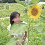 ヒメ日記 2026/08/13 09:23 投稿 永瀬 華恋人(カレント)