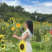 ヒメ日記 2026/08/20 14:10 投稿 永瀬 華恋人(カレント)
