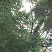 ヒメ日記 2026/10/21 14:42 投稿 永瀬 華恋人(カレント)