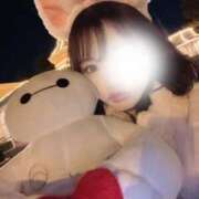 ヒメ日記 2025/02/19 22:41 投稿 もあ ビギナーズ和歌山