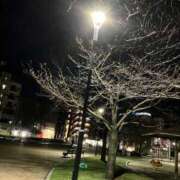 ヒメ日記 2025/03/29 17:24 投稿 いろは 激情団地妻