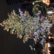 ヒメ日記 2026/01/15 17:26 投稿 なつめ ピンキーエコ