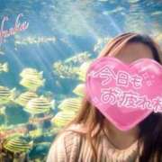 ヒメ日記 2025/02/26 17:02 投稿 ふうか 熟女の風俗最終章 宇都宮店