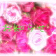 ヒメ日記 2025/03/02 17:31 投稿 ふうか 熟女の風俗最終章 宇都宮店