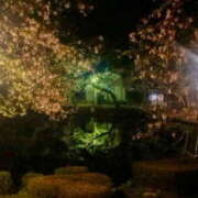 ヒメ日記 2025/04/18 23:36 投稿 ふうか 熟女の風俗最終章 宇都宮店