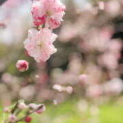 ヒメ日記 2025/04/19 23:51 投稿 ふうか 熟女の風俗最終章 宇都宮店