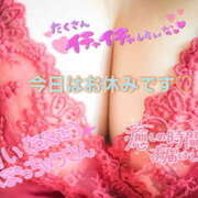 ヒメ日記 2025/04/30 09:51 投稿 ふうか 熟女の風俗最終章 宇都宮店