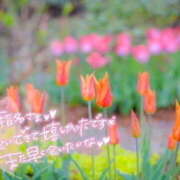 ヒメ日記 2025/05/05 16:11 投稿 ふうか 熟女の風俗最終章 宇都宮店