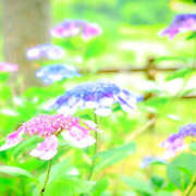 ヒメ日記 2025/06/10 18:32 投稿 ふうか 熟女の風俗最終章 宇都宮店