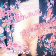 ヒメ日記 2025/06/12 12:03 投稿 ふうか 熟女の風俗最終章 宇都宮店
