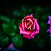 ヒメ日記 2025/06/18 13:56 投稿 ふうか 熟女の風俗最終章 宇都宮店