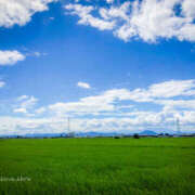 ヒメ日記 2025/06/28 12:32 投稿 ふうか 熟女の風俗最終章 宇都宮店