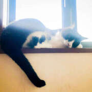 ヒメ日記 2025/07/05 10:21 投稿 ふうか 熟女の風俗最終章 宇都宮店