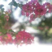 ヒメ日記 2025/07/24 19:42 投稿 ふうか 熟女の風俗最終章 宇都宮店