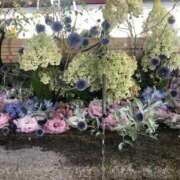 ヒメ日記 2025/08/01 23:41 投稿 ふうか 熟女の風俗最終章 宇都宮店