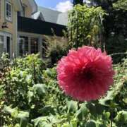 ヒメ日記 2025/08/02 16:51 投稿 ふうか 熟女の風俗最終章 宇都宮店