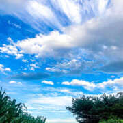 ヒメ日記 2025/08/15 22:11 投稿 ふうか 熟女の風俗最終章 宇都宮店