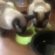 ヒメ日記 2025/08/25 14:32 投稿 ふうか 熟女の風俗最終章 宇都宮店